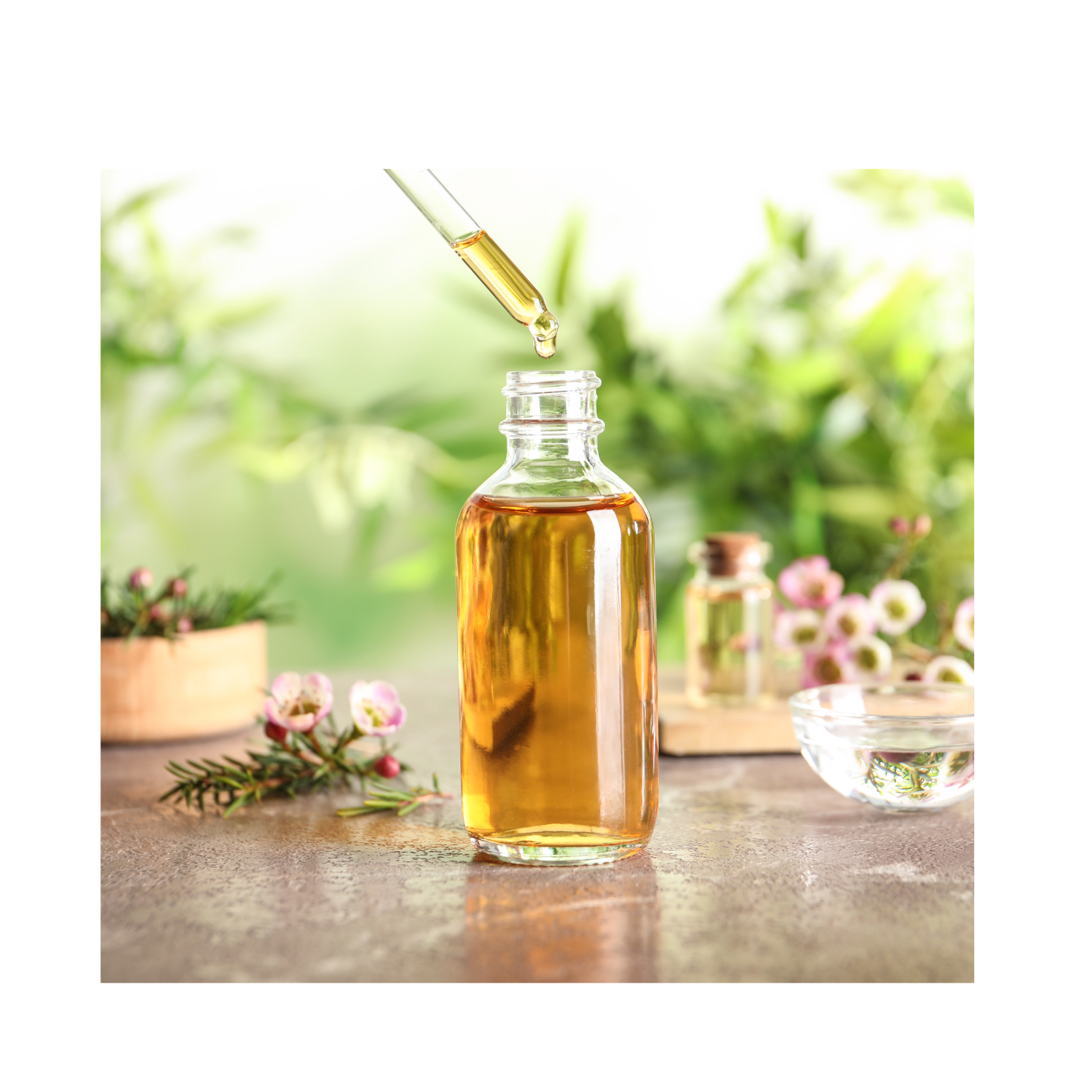 Body Oils -Perfumed