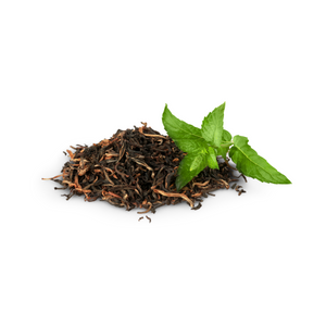 Green Tea Extract Green Tea Extract