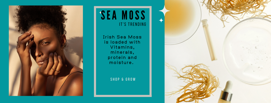What's the big deal with Irish Sea Moss in Skincare and Hair Care