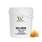 Sea Moss + White Willow Bark & Vitamin E Face Polish
