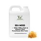 Sea Moss + White Willow Bark & Vitamin E Skin Powerhouse Skin Tonic  (May be used as a toner)