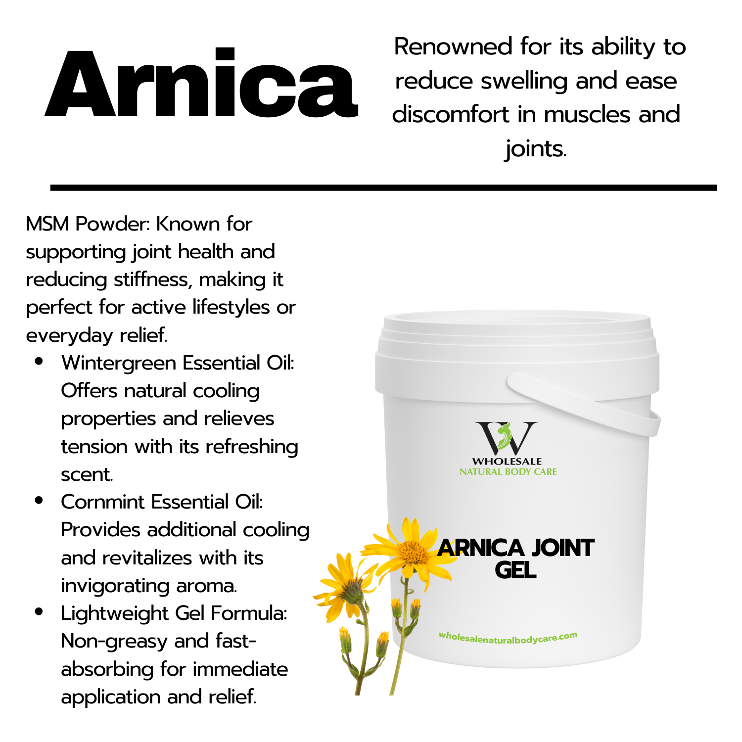 Arnica & MSM Advanced Joint Gel