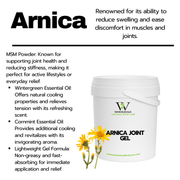 Arnica & MSM Advanced Joint Gel