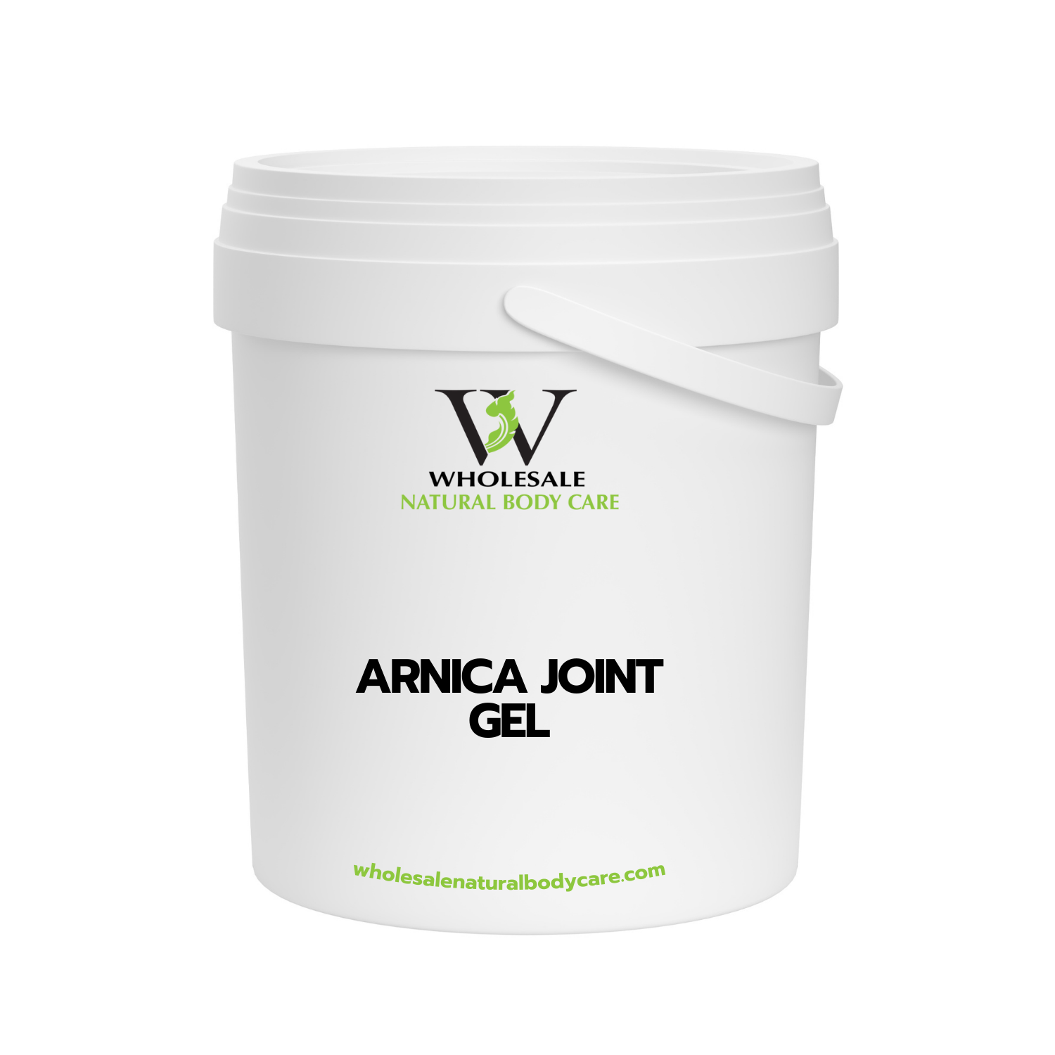 Arnica & MSM Advanced Joint Gel