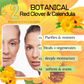 Red Clover & Calendula Botanical Facial Cleanser